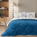Dekbed Zonder Overtrek | Inclusief Kussensloop | Teddy | Blauw